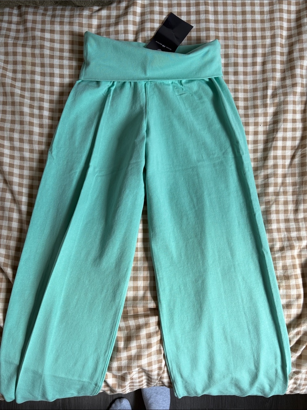 Brandy Melville Teal Priscilla Yoga Pants